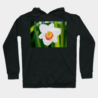 White Daffodil Hoodie